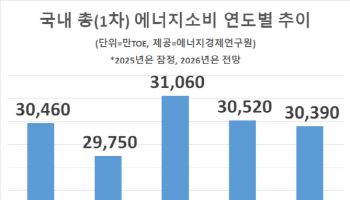 석화·철강 침체에 에너지수요 감소세…올해도 0.4% 감소 전망
