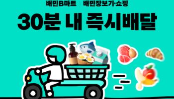 배민, 12월 ‘장보기·쇼핑’ 역대 최대 실적…주문 15%↑