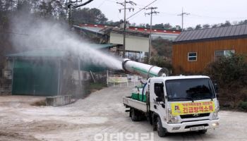 안성·포천 연달아 돼지열병 발생…경기도, 확산 저지 총력