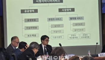 유튜브·넷플릭스 제도권으로…민주당, 통합미디어법 초안 공개