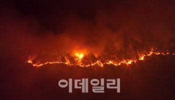 산림청, 영남권·강원에 산불재난 국가위기경보 ‘경계’ 발령