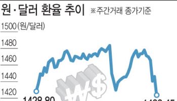 약달러로 제조업 부활 노리는 트럼프…'절대 안전자산'이 흔들린다