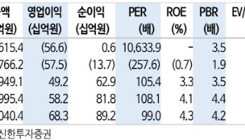 카카오페이, 스테이블코인 갈길 멀어...주가 과열 주의-신한