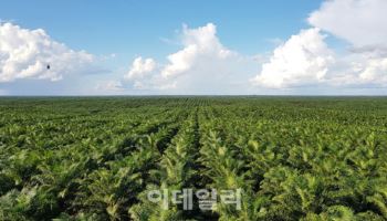 포스코인터, 사상 최대 실적…알래스카 LNG 최종계약 3월 이후(종합)