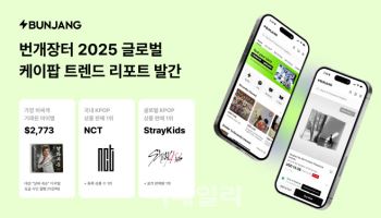 번개장터 "미국이 K팝 굿즈 최대 큰손"…글로벌 리포트 공개
