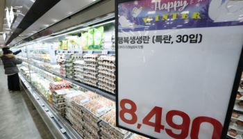 "여름철 폭우, 신선식품 물가 직격탄 금리조정 대신 수입 다변화 필요"