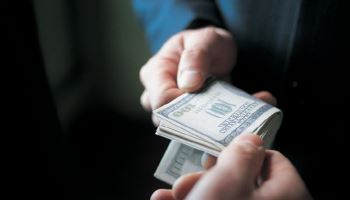 250만원 나무 뇌물로 받은 공무원…항소심도 집행유예