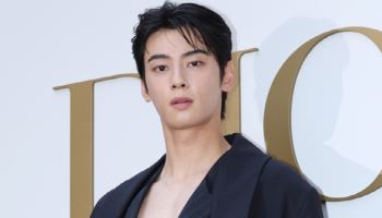 "차은우 母 징역 살 수도"…200억원 탈세 의혹, 핵심은