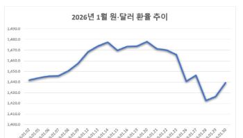 연초 롤러코스터 탄 환율…日총선·美물가에 2월 추가 하락 미지수