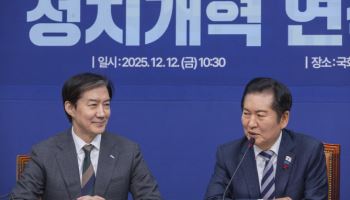 이해찬 추모정국 끝나자마자 붙붙은 민주-혁신 합당 논쟁
