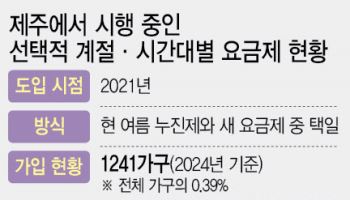가정도 장기적으로 ‘계절·시간별 요금제’ 검토