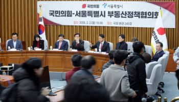 오세훈 “1·29 대책 실효성 없는 공공 주도…규제 완화로 공급 가능”