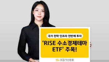 "수소차·AI·방산·전력망 투자 한번에"…'RISE 수소경제테마 ETF' 주목