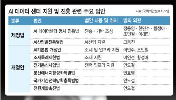 AI 고속도로 법안 쏟아지는데…국회 논의는 ‘정체 구간’