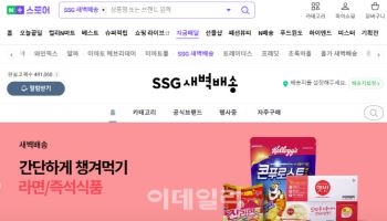 쿠팡 여파에 대형마트 규제 풀리나…네이버 커머스·쇼핑 에이전트 탄력
