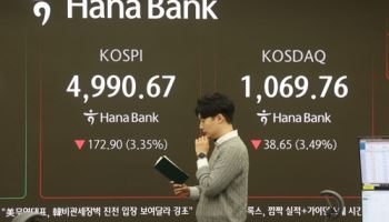 "조정 시작?" 코스피, 5000도 못 지켰다…시총 100위 중 상승 '단 4개'