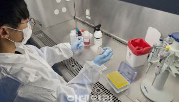 경기도, 돼지 전수검사 조기출하…설 명절 돈육 공급 지원