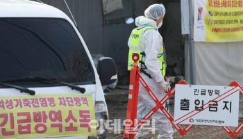 충남 예산 산란계 농장서 고병원성 조류인플루엔자 나와