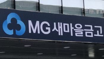 새마을금고 정부합동검사 2배 확대…"건전성 관리 고삐 죈다"