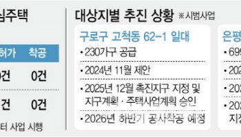 임대료 시세반영 안되니 사업성 뚝…민간참여 저조
