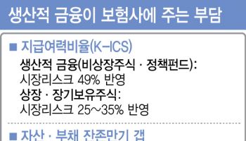 "건전성 규제에, 생산적금융 쉽지 않아"…보험사도 울상