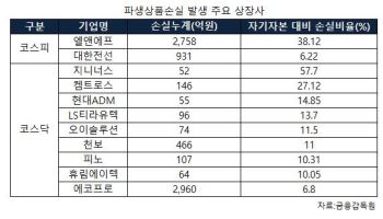 주가 올랐는데 실적엔 마이너스?…"회계상 실적 왜곡"