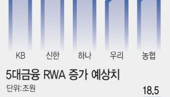 5대금융, 리스크 감수하고 87조 투입하는데…정책 인프라 턱없이 부족