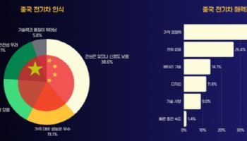 "중국 전기차, 가격은 매력적인데…구매는 아직"