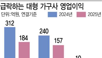 부동산 침체·고환율에 휘청이는 가구업계