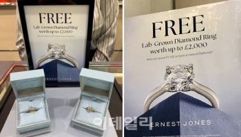 '영원한 보석' 다이아, 어쩌다가…1위 기업 드비어스 매각