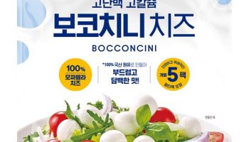 빙그레, 국산 원유 100% `고단백 고칼슘 보코치니 치즈` 첫선