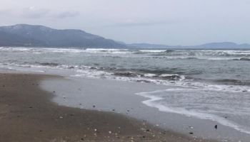 "모래에 파묻힌 한국 남성 시신"...日홋카이도 해변 산책 중 '경악'