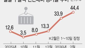 반도체 슈퍼사이클 탄 수출…2월도 ‘역대 최대’ 콧노래(종합)