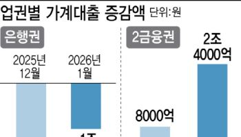 풍선효과로 2금융권 대출 증가…당국, 대출 더 조이나