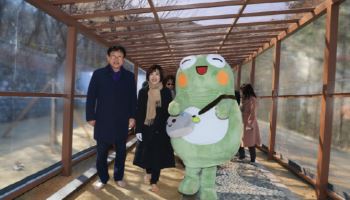"겨울 칼바람 걱정마세요" …수성구 '사계절 맨발산책로' 눈길