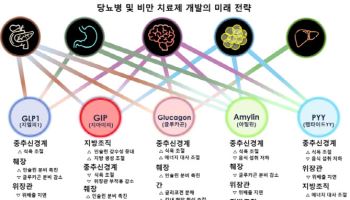 ‘차세대 비만약’ 개발 전략 제시 20% 이상 체중감소도 가능... 부작용 경계해야