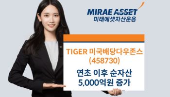美기술주 출렁이자…TIGER 미국배당다우존스 ETF, 순자산 5000억↑