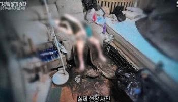"예의 아냐"...구더기 덮인 채 죽어간 아내, 남편은 지금