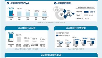 행안부 "공공데이터, 기업 생산성 향상 등 경쟁력 기여"