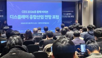 "디스플레이, 피지컬AI 시대 핵심 인터페이스될 것"
