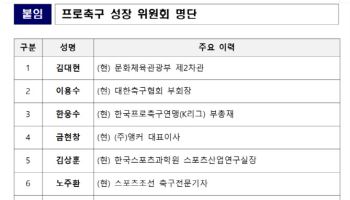 "심판 판정 신뢰부터 회복해야..." 문체부, K리그 뜯어 고친다