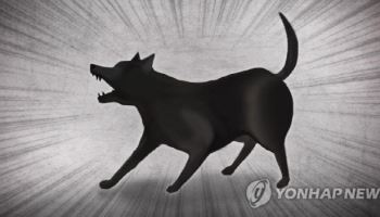 공공기관서 반려견 3마리 입양해 잡아먹은 70대, 경찰 조사