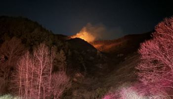 충남 금산 진산면서 산불…진화차량 32대 투입 진화 중
