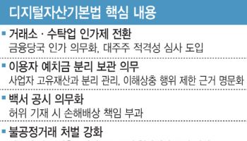 디지털자산기본법 윤곽…스테이블코인 '인가제' 도입