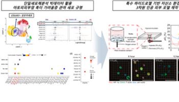 아토피 가려움증, ‘인공 피부’ 통해 환자별 맞춤형 치료한다