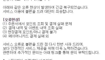 네이버 페이 결제 오류 복구···"내부 문제 추정···상세 원인 파악중"