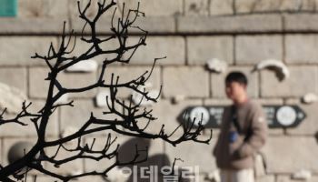 아침은 겨울, 낮은 봄…일교차 큰 날씨 계속된다