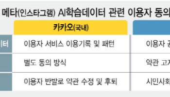 인스타는 다 되는데…"카카오 AI 학습마라" 몰매