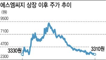 ‘주가 반토막’ 에스엠씨지, 지난해 실적은 견조…반등 신호탄 될까