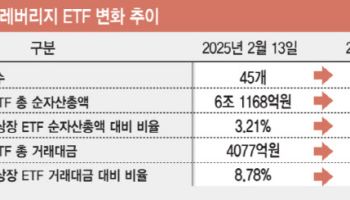 레버리지 투자 1년새 2배 '쑥'…전체 ETF 20% 차지[레버리지 기획]